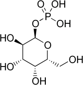 phosphate